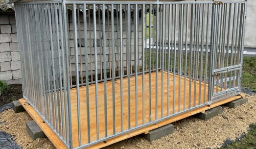 Kojce dla psów – zadbaj o swojego pupila przed zimą!  